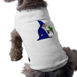 Dragon Witch pet clothing
