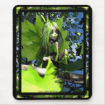 Dragoncat Faery Series 2 "Sugar Maple Faery" mousepads