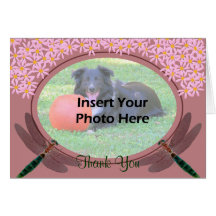 Dragonflies Daisies Thank You Photo Card
