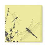 Dragonflies in the Grass magnets