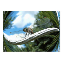 Dragonfly 182 ~ ATC Business Cards