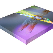 Dragonfly 1 - wrapped canvas stretched canvas prints
