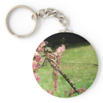 Dragonfly 241 ~ keychain