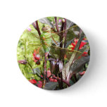 Dragonfly 59 ~ button