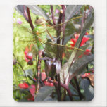 Dragonfly 59 ~ mousepad