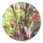 Dragonfly 59 ~ sticker