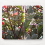 Dragonfly 61 ~ mousepad