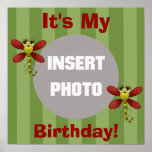 Dragonfly Birthday Poster posters