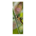 Dragonfly Bookmark business cards