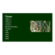 Dragonfly Business Cards
