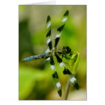 Dragonfly Card