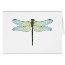 DragonFly Card
