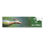 Dragonfly Co Pilot Funny Nature Bumper Sticker bumper stickers