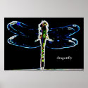 Dragonfly (coloured outline) posters