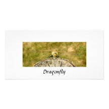 Dragonfly Custom Photo Card