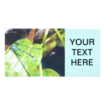 Dragonfly Customized Photo Card