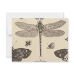 Dragonfly ( detail ) Vintage Art invitations