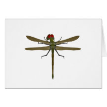 Dragonfly Dragonflies Greeting Card