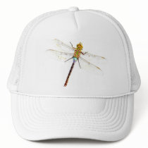 Dragonfly Dreams Mesh Hats