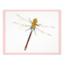 Dragonfly Dreams Invitation