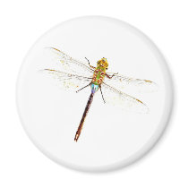 Dragonfly Dreams Refrigerator Magnets