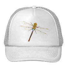 Dragonfly Dreams Mesh Hats