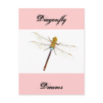 Dragonfly Dreams Post Cards
