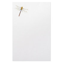 Dragonfly Dreams Stationery Design