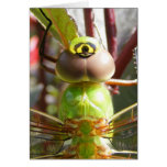Dragonfly eyes ~ card