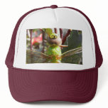 Dragonfly eyes ~ hat