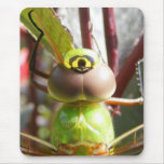 Dragonfly eyes ~ mousepad