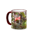 Dragonfly eyes ~ mug