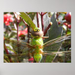 Dragonfly eyes ~ print