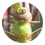 Dragonfly eyes ~ sticker