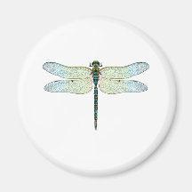 DragonFly Fridge Magnets