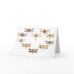 Dragonfly Heart Cards