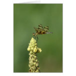 Dragonfly Heart Card