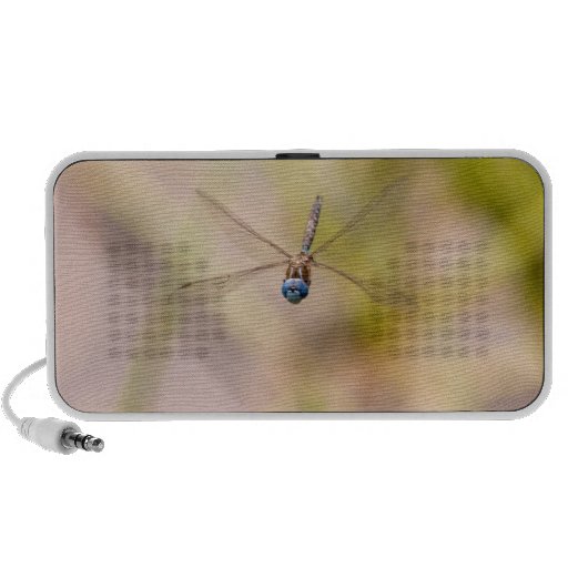 Dragonfly in Flight Photo iPod Speaker