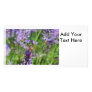 Dragonfly in Lavender Garden Photo Cards