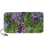 Dragonfly in Lavender Garden Speaker System