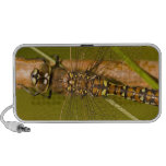 Dragonfly Macro Photo Portable Speaker