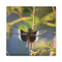 DragonFly Refrigerator Magnet