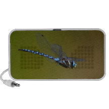 dragonfly mini speakers