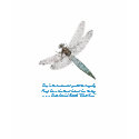 Dragonfly Mosaic-with quote t-shirts