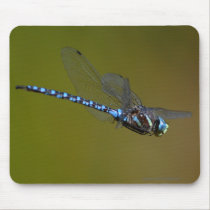 Dragonfly mousepads