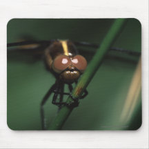 dragonfly mouse pad