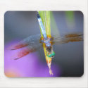 Dragonfly - mousepad