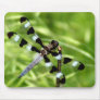 Dragonfly Mousepad