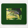 Dragonfly Mousepad