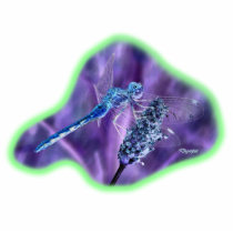 Dragonfly Negative Image  02 Photo Sculpture